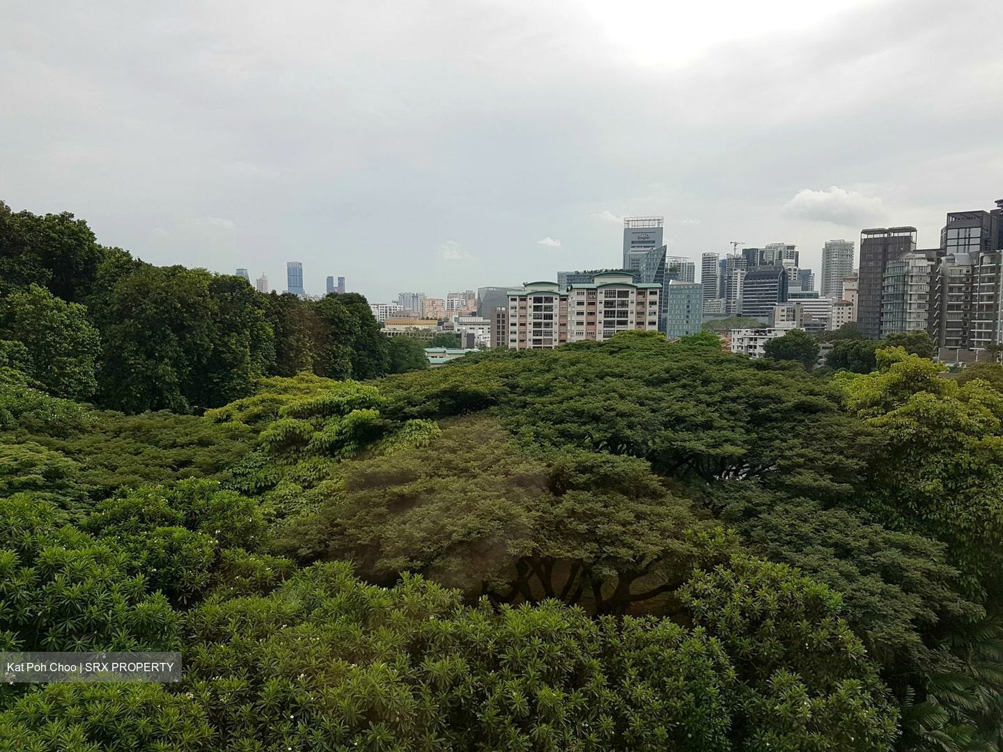Cavenagh House (D9), Apartment #603212031